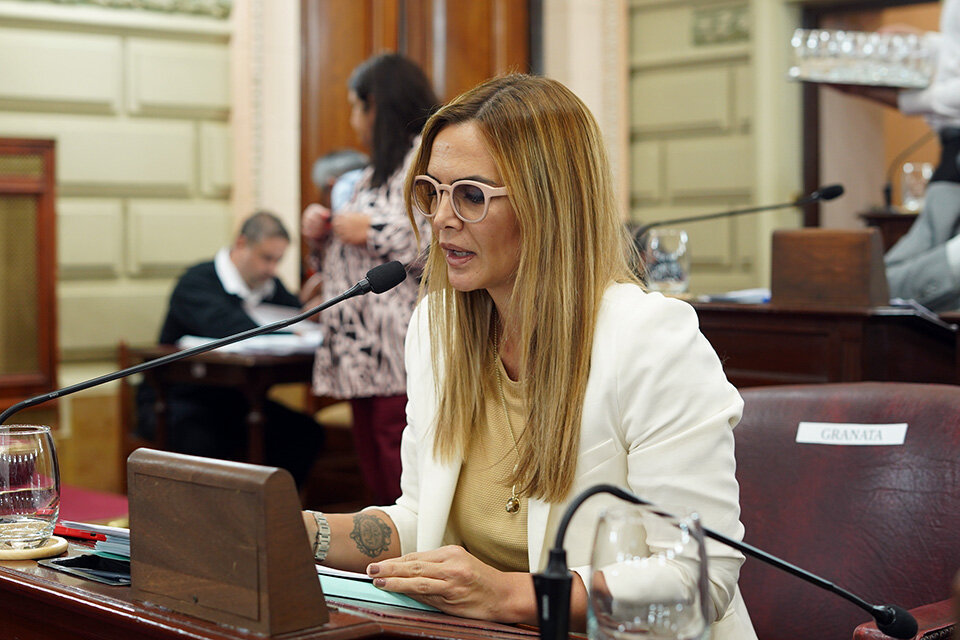 Granata “violenta la democracia que la llevó a ocupar su actual banca”, señalan.