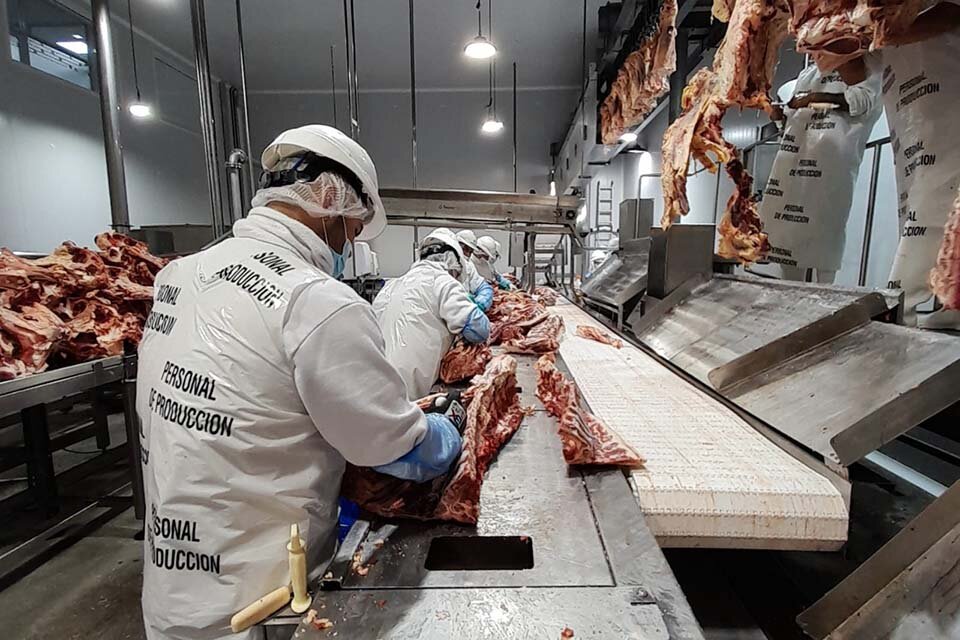 Trabajan en el frigorífico Tomasello.