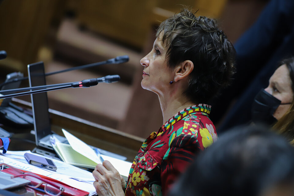Ministra del Interior, Carolina Tohá en la sesión en el Senado / Silvana Gajardo, Ministero del Interior de Chile