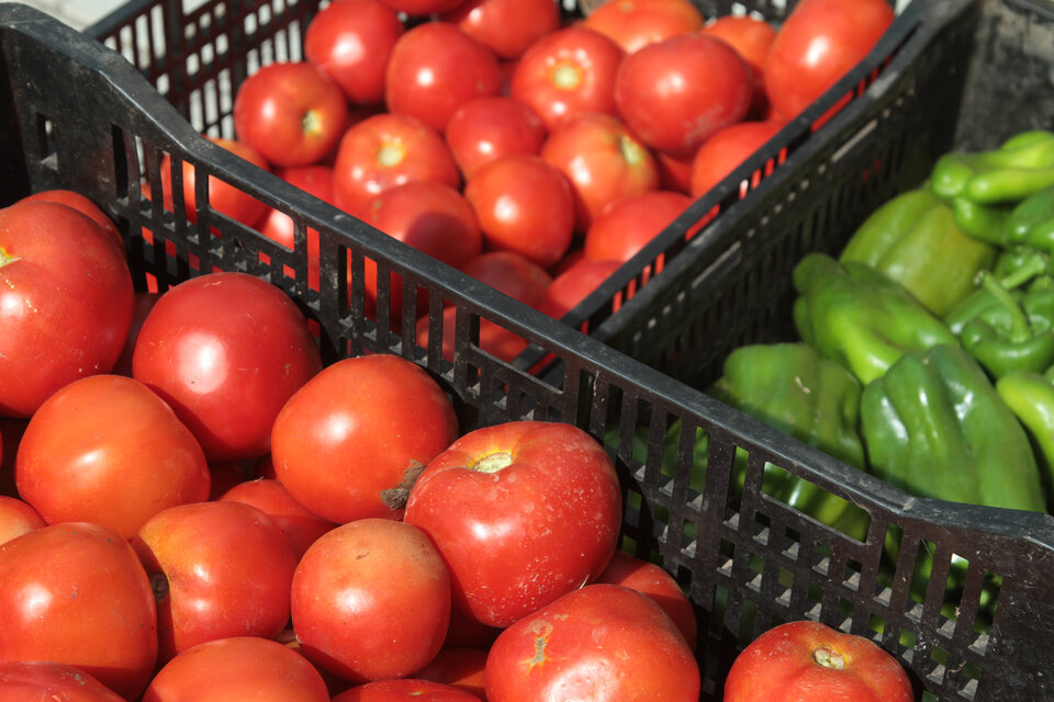 El mes pasado, las verduras subieron un promedio de 14 por ciento en el AMBA. (Fuente: Bernardino Avila)