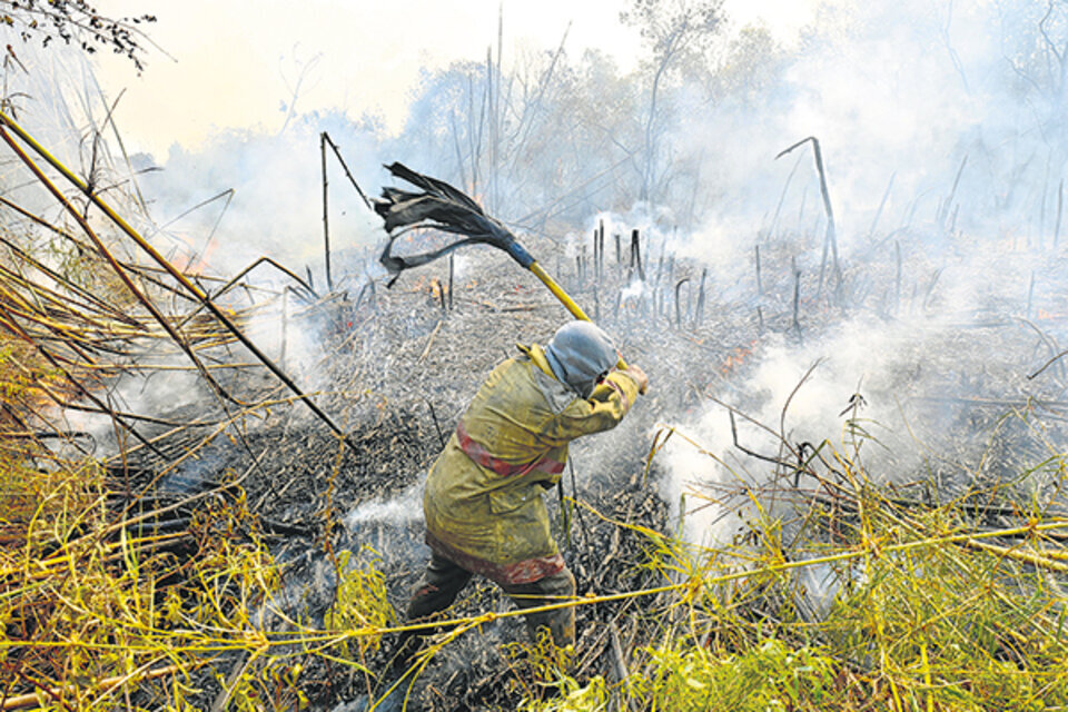 Los incendios forestales ilegales en las islas del delta de Paraná y el reclamo de las organizaciones aceleró el debate en la Cámara de Diputados. 