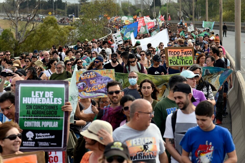 Una histórica multitud se movilizó por la Ley de Humedales. (Fuente: Andres Macera)