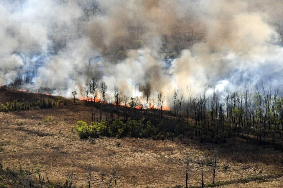 Catamarca tendrá una base para combatir incendios forestales en la región del NOA (Fuente: Gustavo Molfino)