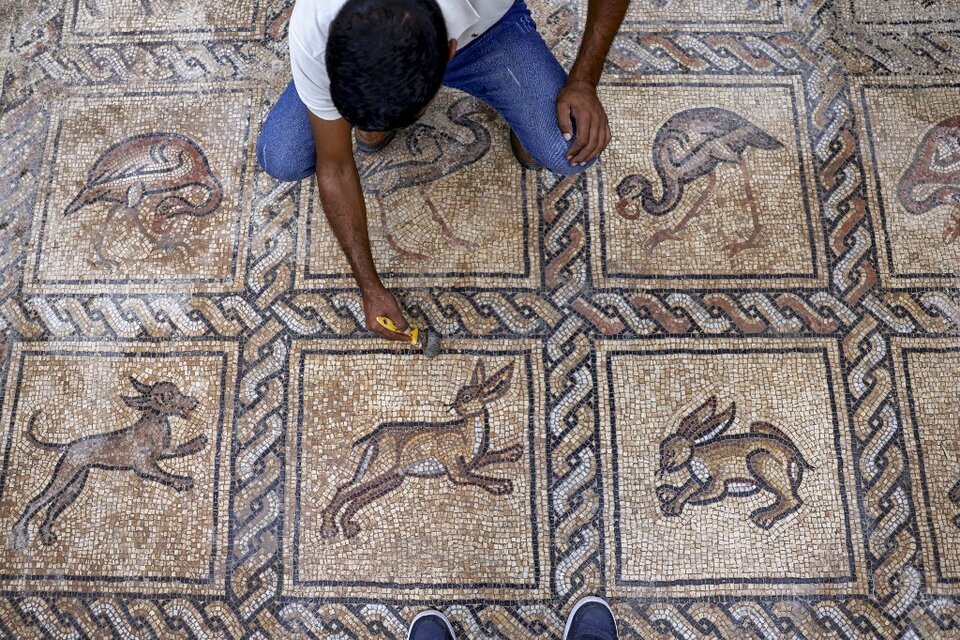 Los mosaicos  representan animales y están "en perfecto estado de conservación". (Foto: AFP/Mohammed Abed)