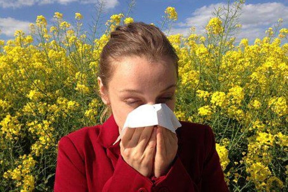 Las alergias estacionales en primavera son causadas por el polen, entre otros alergenos. (Foto: Pixabay)