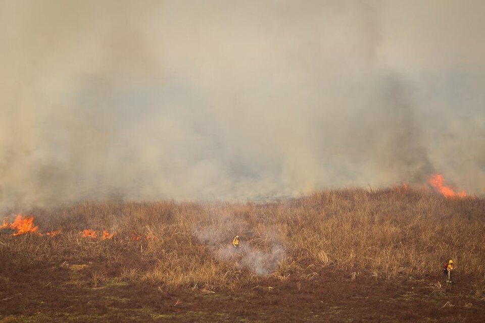 Rescatistas combatiendo el fuego en las zonas afectadas (Foto: Ministerio de Ambiente).