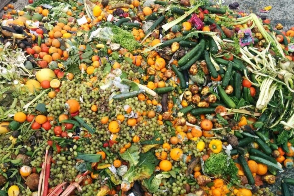 El bloque europeo desperdicia 153 millones de toneladas de alimentos cada año.