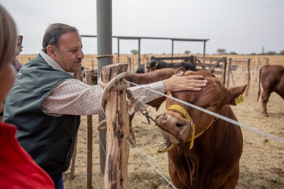 La Rioja tendrá su primer Remate de Cabañas con importantes beneficios para productores ganaderos