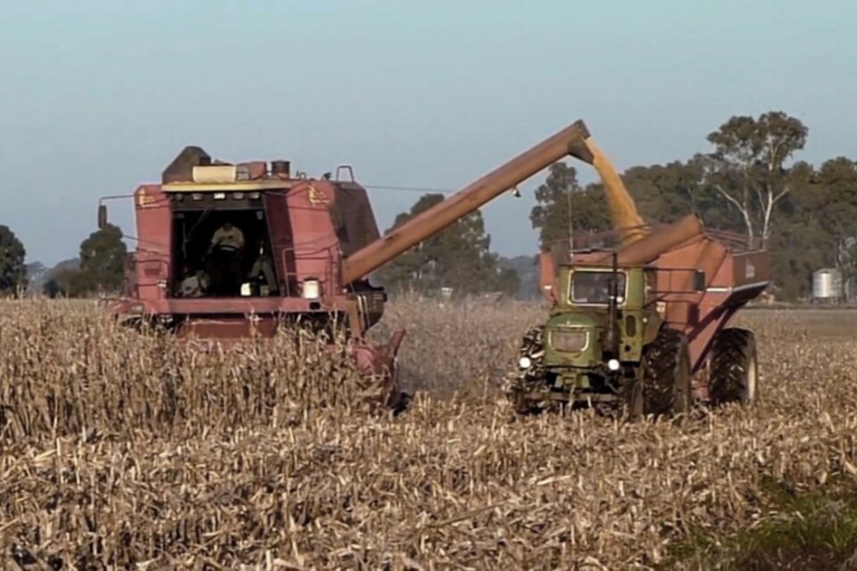 Habrá préstamos subsidiados para productores que no entraron al dólar soja. (Fuente: Télam)
