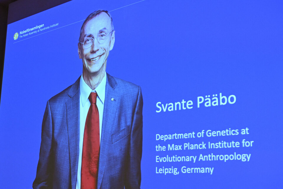 El biólogo Svante Pääbo fue distinguido con el Premio Nobel de Medicina 2022. Imagen: AFP.
