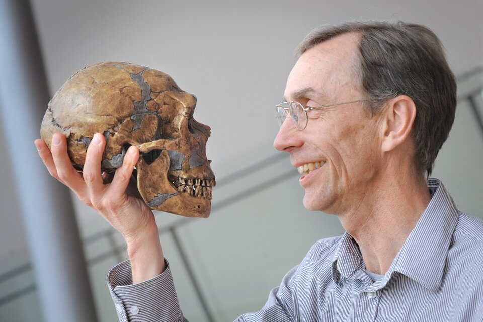Svante Pääbo con un cráneo de Neandertal, del que determinó el genoma. (Fuente: AFP)
