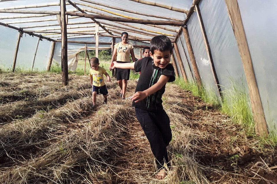 Gabriela dos Santos recorre el invernadero mientras sus hijos juegan.