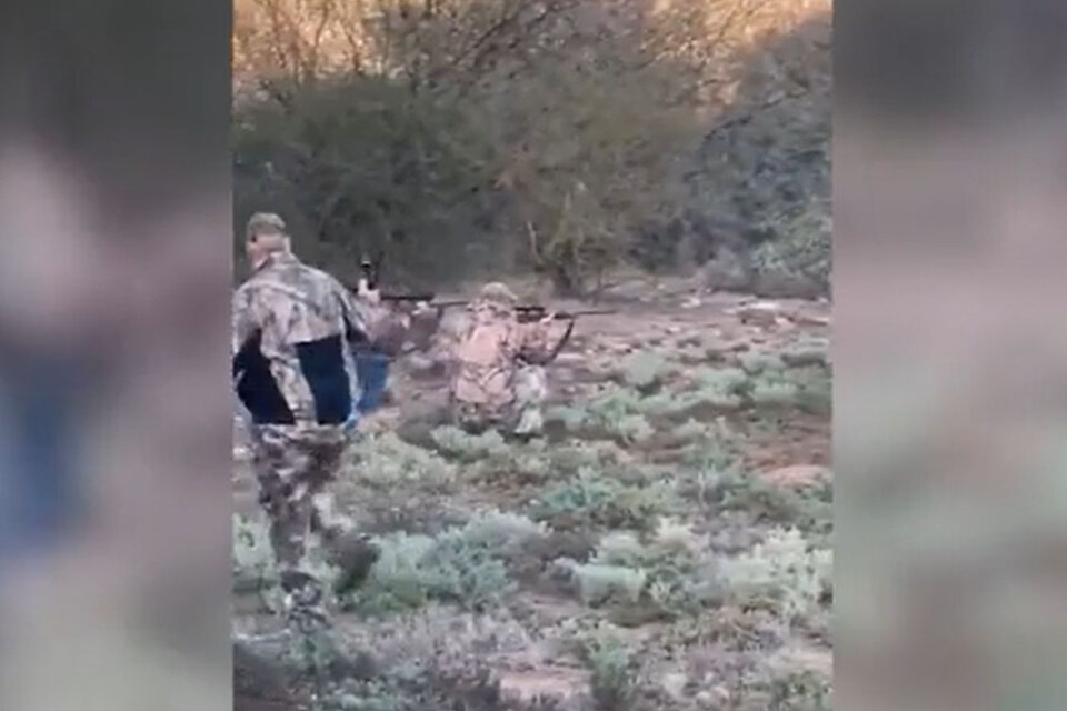 Video: el momento en que el búfalo embiste y mata al cazador mexicano en Entre Ríos
