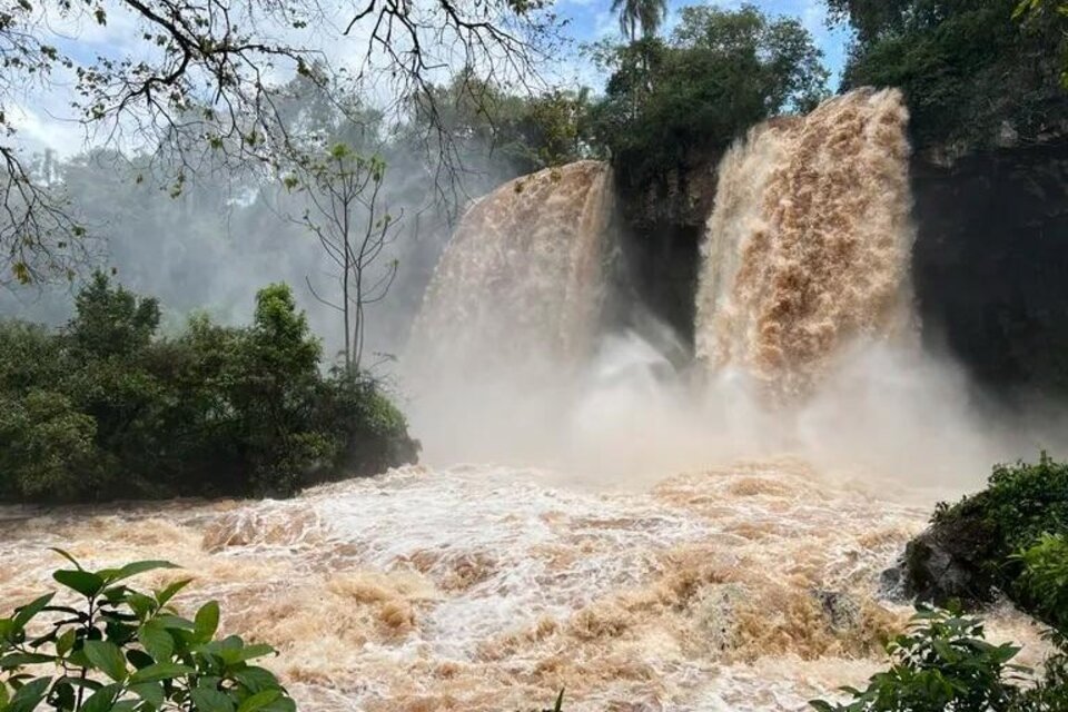 Tras la creciente del río Iguazú, Uruguay y Paraná, el Parque Nacional Iguazú debió cerrar sus puertas la semana anterior.