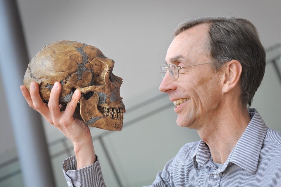 El Premio Nobel de Medicina, Svante Pääbo, supervisó los estudios dados a conocer en la revista Nature, y que dan  informaciòn pro primera vez de una familia de neandertales. (Foto:AFP)