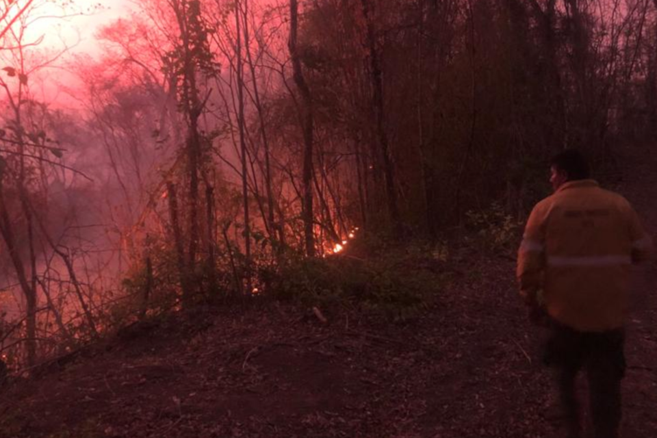 Fuego en el municipio de Urundel. (Fuente: Imagen: Gentileza Finca Nocetti.)