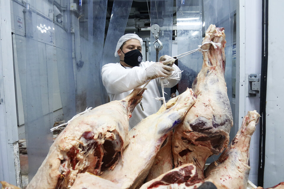 Carnes: Los frigoríficos regionales pusieron en pausa al troceo (Fuente: Leandro Teysseire)