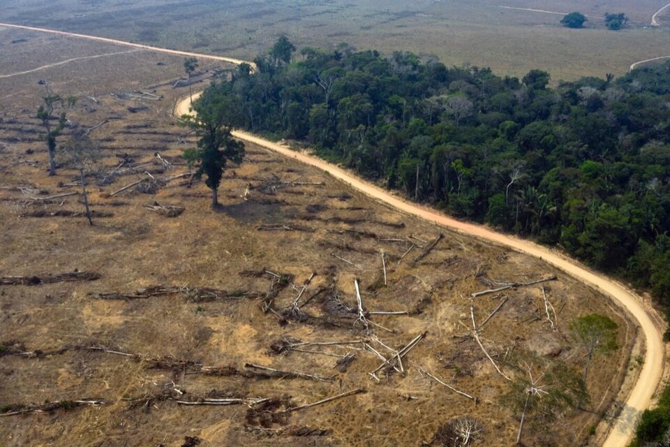 Entre los años 2020 y 2021, indica Greenpeace, la Amazonia brasileña perdió 8.712 Km2 de selva. (Foto: AFP)