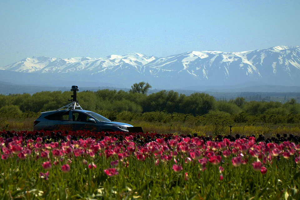 El Campo de tulipanes, una de las atracciones turísticas argentinas señalizadas en Google Maps.