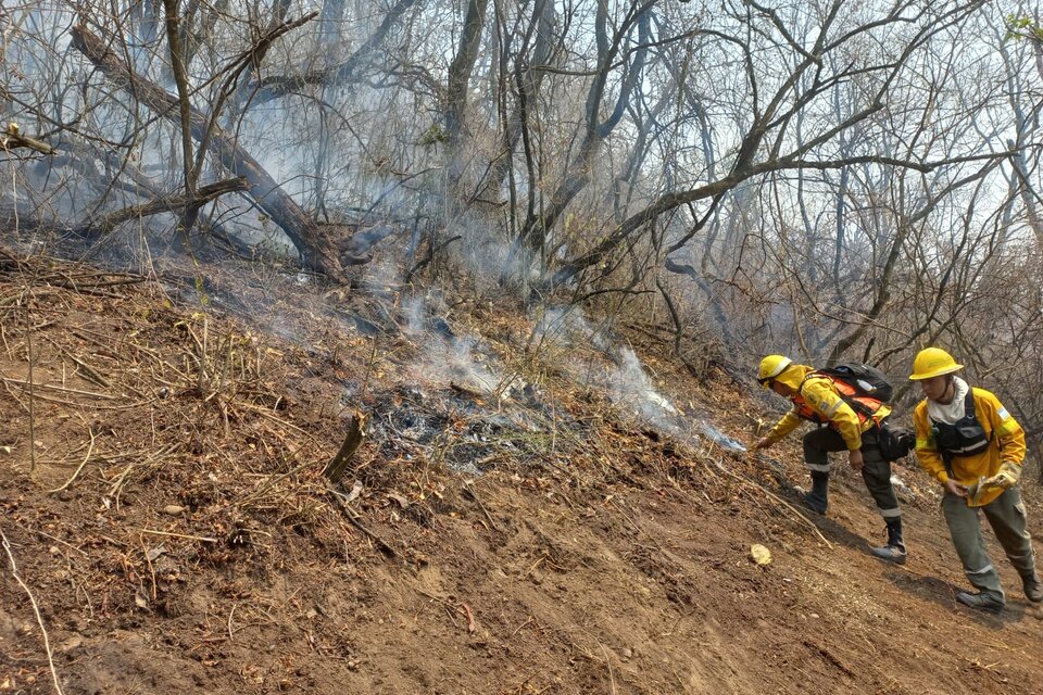 Fuego en las serranías de la Comunidad Kolla Tinkunaku.  (Fuente: Gentileza: Manuel Gutiérrez)