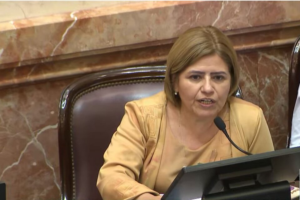Clara Vega, senadora bloque Hay Futuro Argentina.