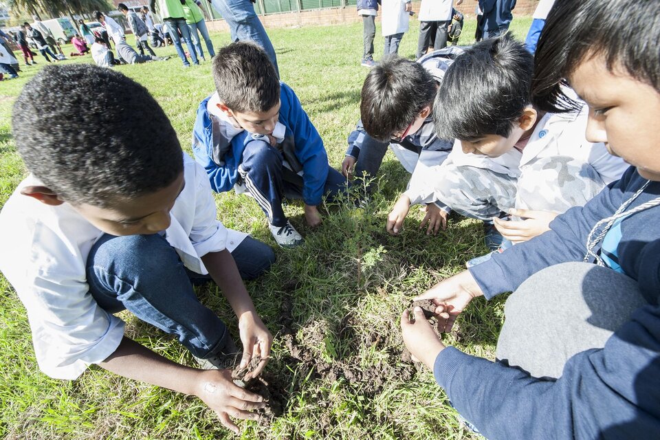 El gobierno de Salta busca aplicar la educación ambiental integral desde 2024