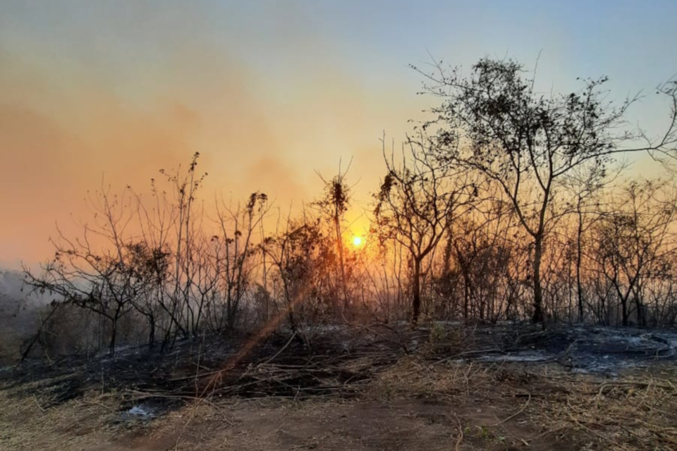 Los rastros del fuego en Valle Morado, que sigue con focos activos. 