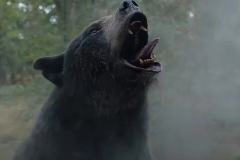 Universal Pictures compartió el primer trailer oficial de "Cocaine Bear". Imagen: Universal Pictures. 