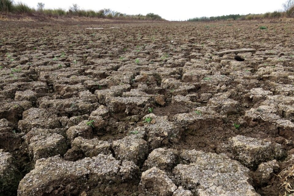Casi 23 millones de hectáreas están gravemente afectadas por la seca.  (Fuente: Télam)