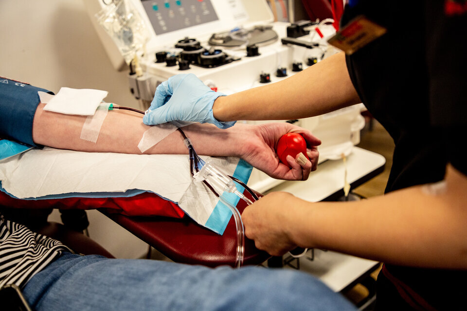 La donación de sangre por parte de vacunados contra el Covid-19 no implica ningún riesgo adicional. Imagen: nzblood.co.nz