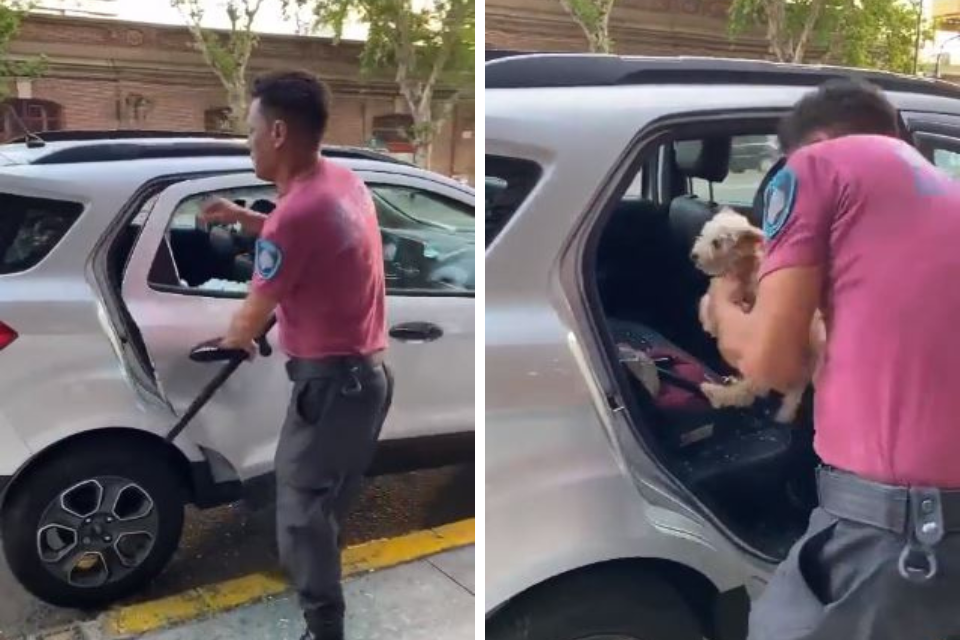 Dejó Encerrado A Su Perrito En El Auto Con 38 Grados Y Un Policía ...