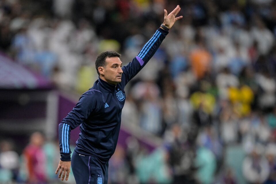 Lionel Scaloni, técnico de la Selección argentina.