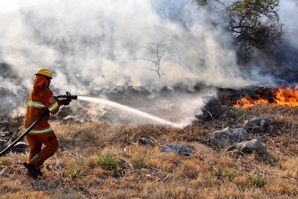 Hay incendios forestales en Corrientes, Entre Ríos, San Luis y Chubut (Fuente: NA)