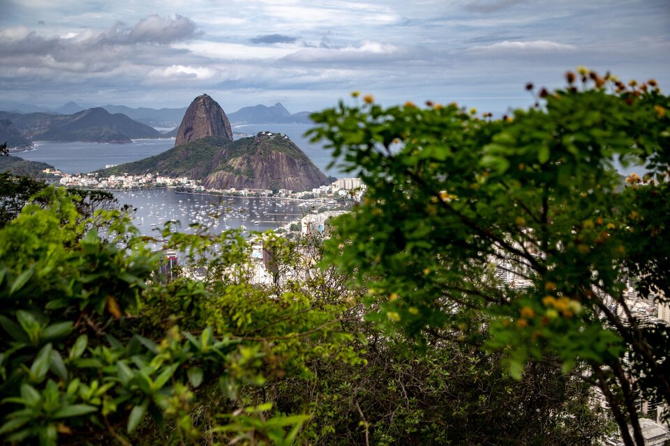 Un vistazo a la ciudad brasilera de Río de Janeiro. (Fuente: Freepik)