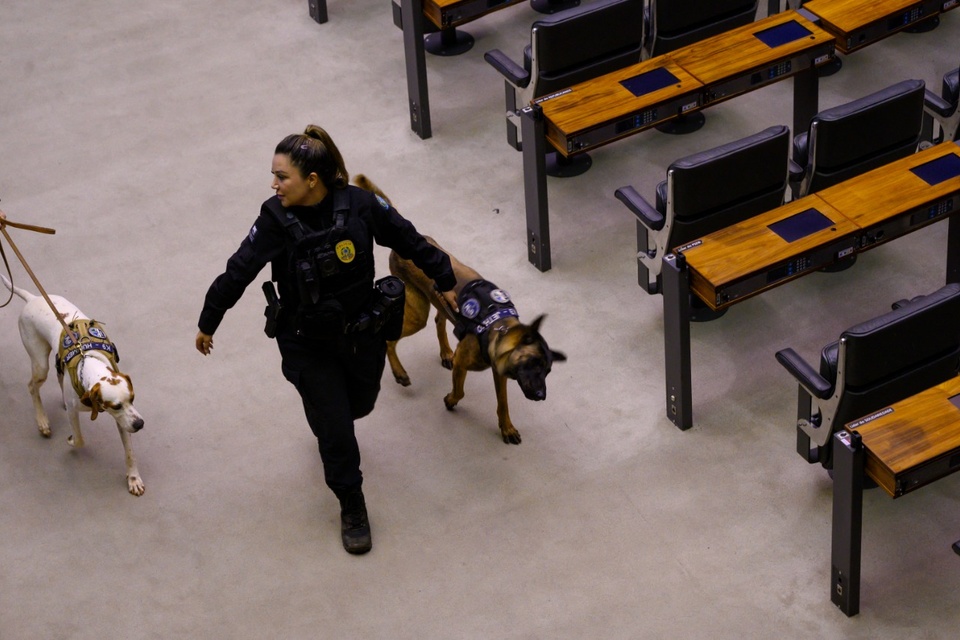 La Policía custodia el Congreso brasileño. (Fuente: AFP)