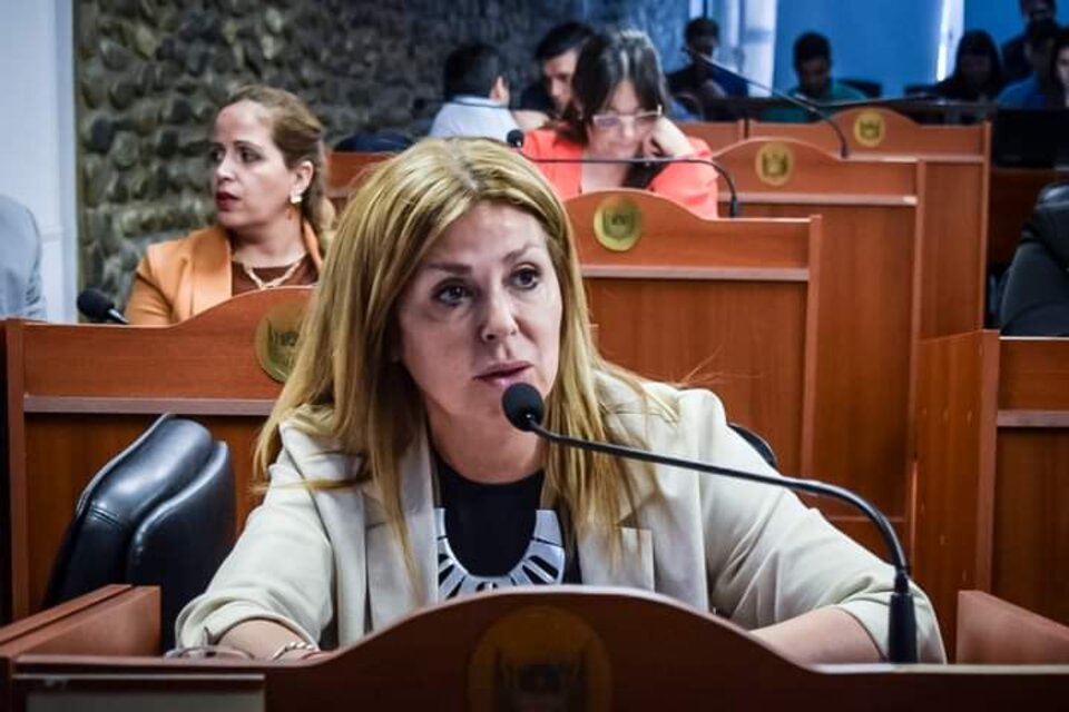 Verónica Mercado, diputada provincial FDT. 
