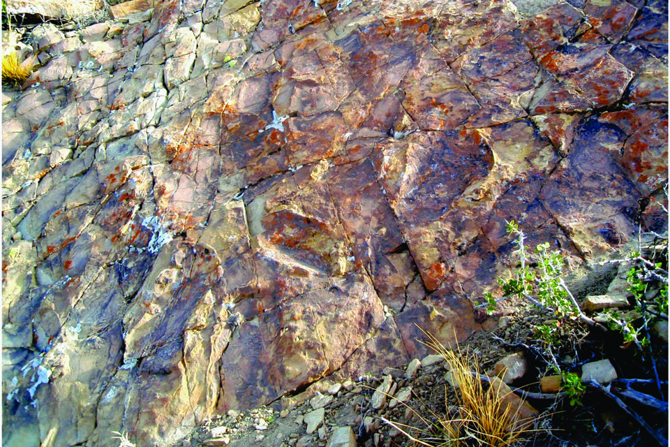 Descubren huellas de "patinadas" de dinosaurios de 130 millones de años en el Cerro Rayoso, provincia de Neuquén. Imágenes: Conicet