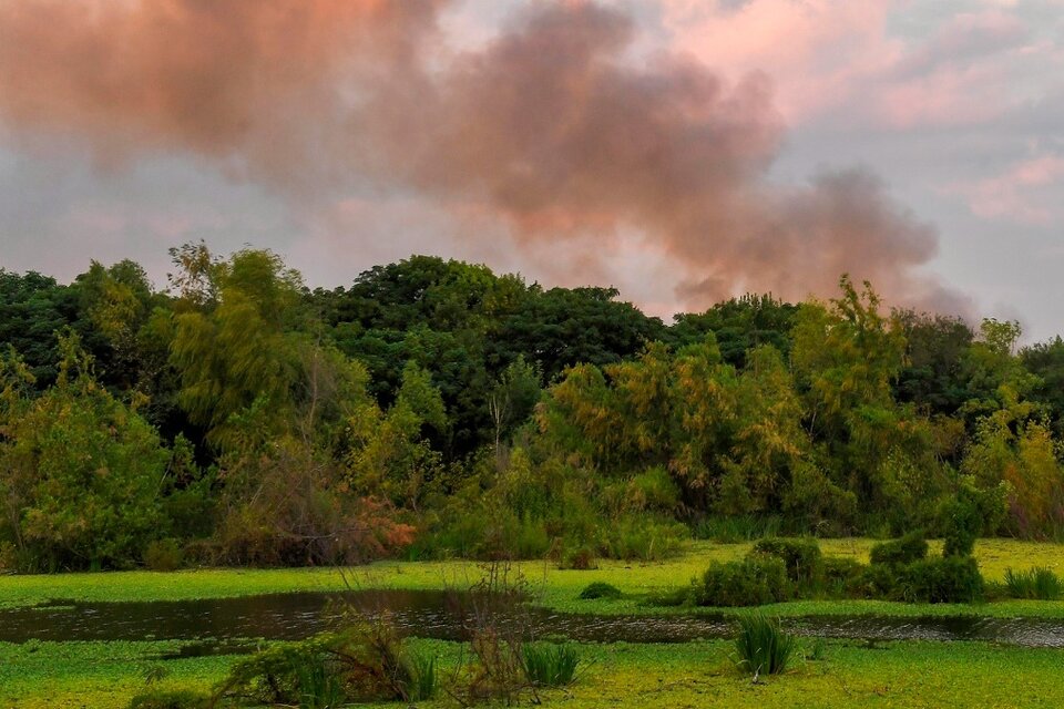 URGENTE: Se detectan nuevos focos de incendios en la reserva ecológica de Costanera Sur