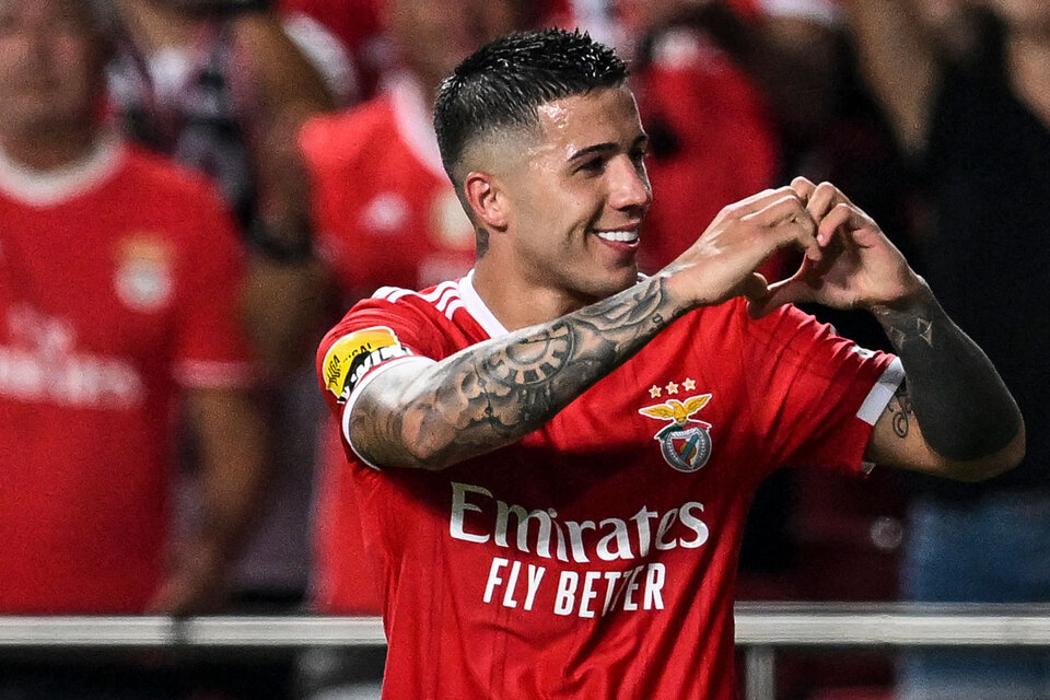 Enzo Fernández es una de las figuras del Benfica (Fuente: AFP)