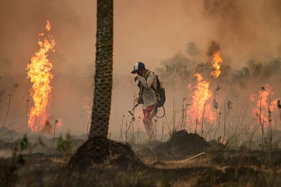 Más de medio millón de hectáreas quemadas por incendios intencionales  (Fuente: Amnistía Internacional Argentina)