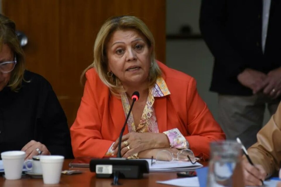 Hilda Aguirre, diputada nacional por La Rioja.