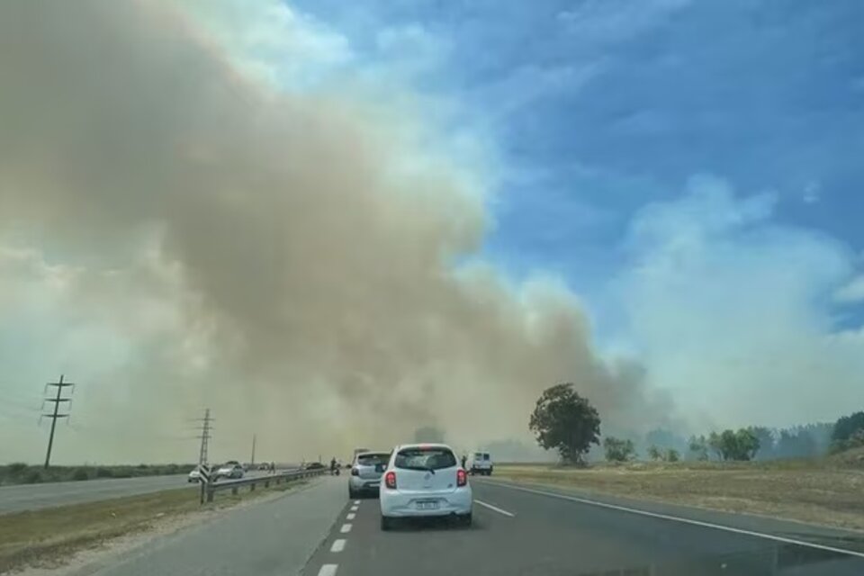 La ruta 11, a la altura de Villa Gesell, se vio con la visibilidad reducida por el humo causado por el incendio que se desató en el bosque de pinos. (Foto: Twitter)