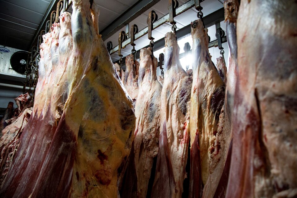 Berazategui: allanaron un frigorífico por los casos de intoxicación por presunto consumo de carne y achuras