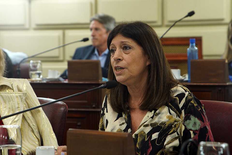 Diputada provincial Clara García.