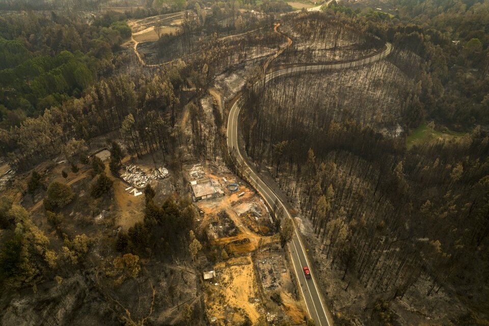 Área devastada en la comuna de Santa Juana, provincia de Concepción (Fuente: AFP)
