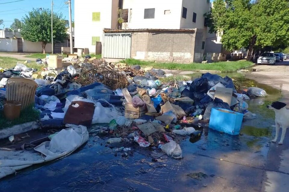 Vecinos denuncian la contaminación ambiental por la falta de recolección de basura en la capital de La Rioja.