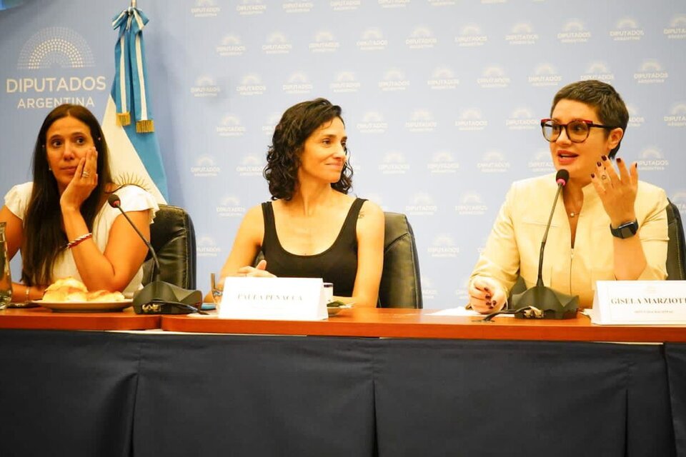 Las diputadas del Frente de Todos Gisela Marziotta y Paula Penacca realizaron la convocatoria.