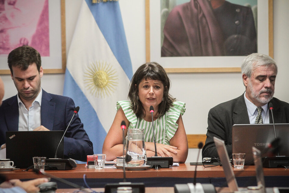 La presidenta de la Comisión de Juicio Político, Carolina Gaillard. (Fuente: Bernardino Avila)