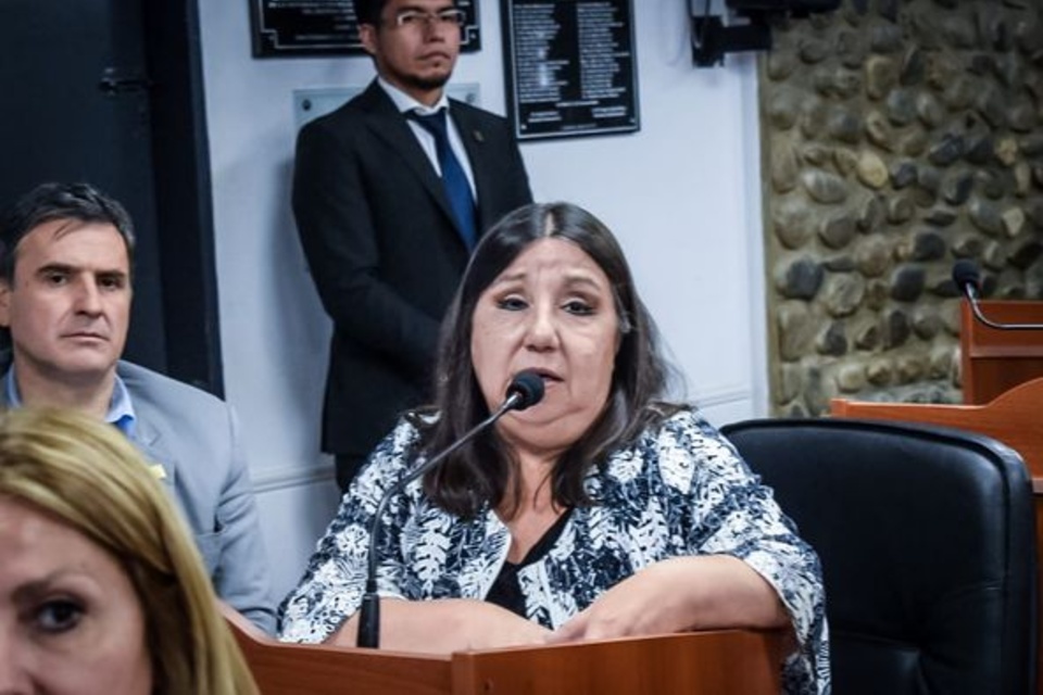 Presidenta Cámara de Diputados