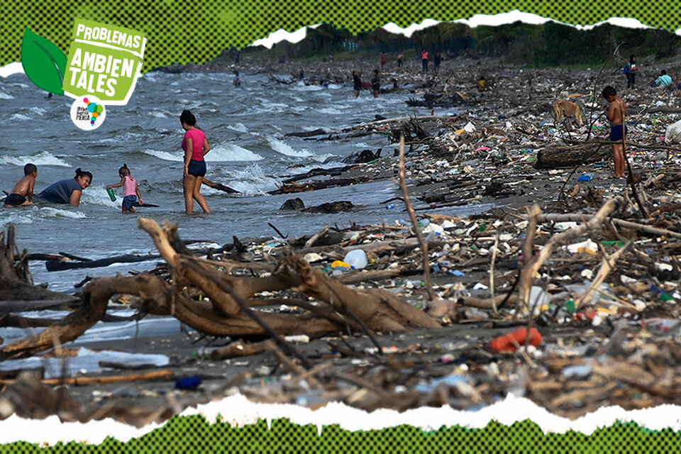 Basura marítima en Islas Galápagos: cómo los habitantes del lugar se organizaron para limpiar las playas (Fuente: AFP)